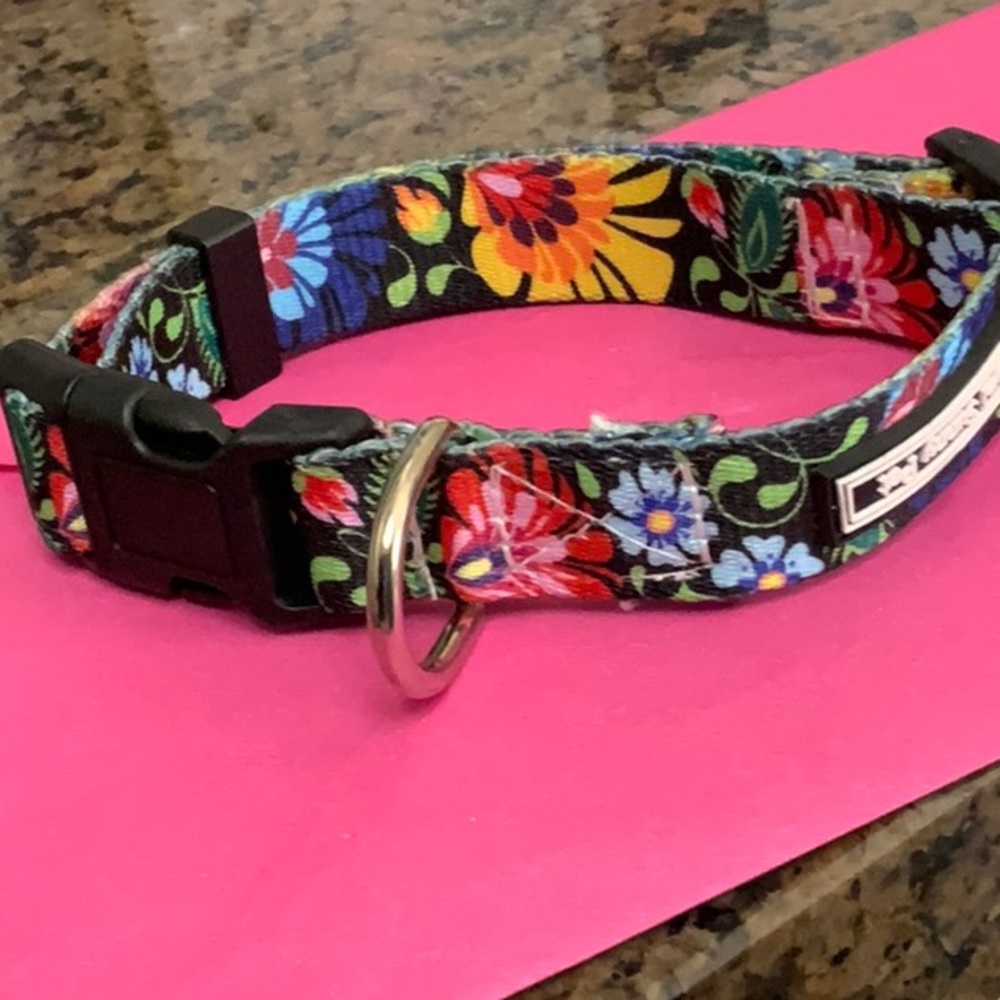 ❣️ Sunny Loyal Pet dog collar-like knew. - Picture 2 of 6